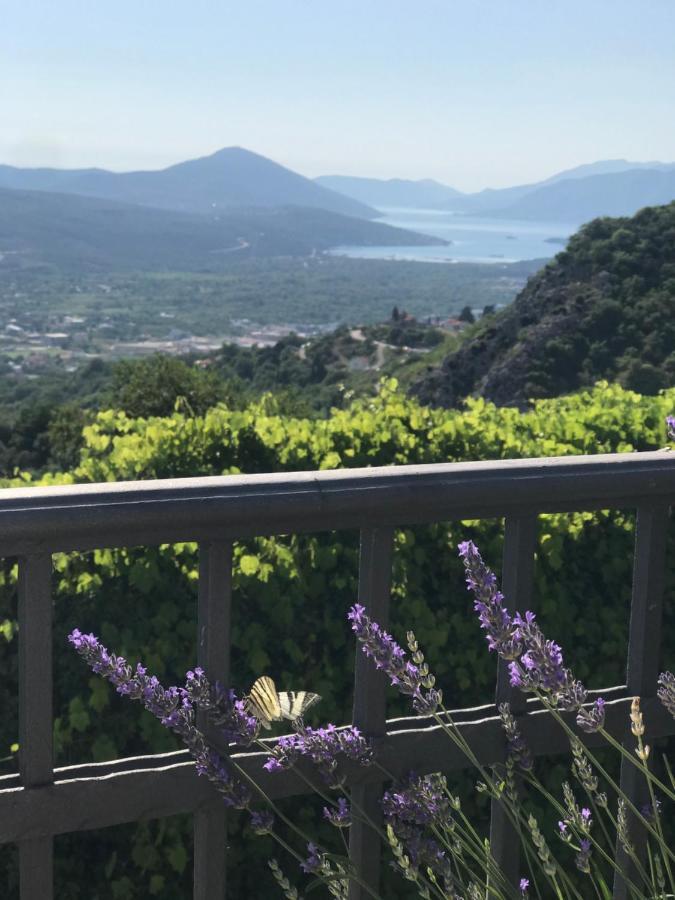 Villa Nikoleta โกตอร์ ภายนอก รูปภาพ