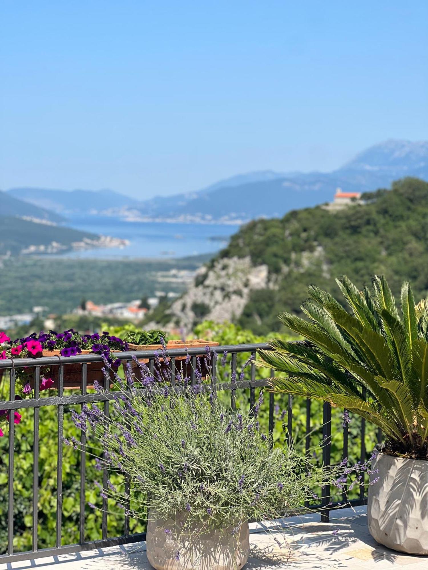 Villa Nikoleta โกตอร์ ภายนอก รูปภาพ